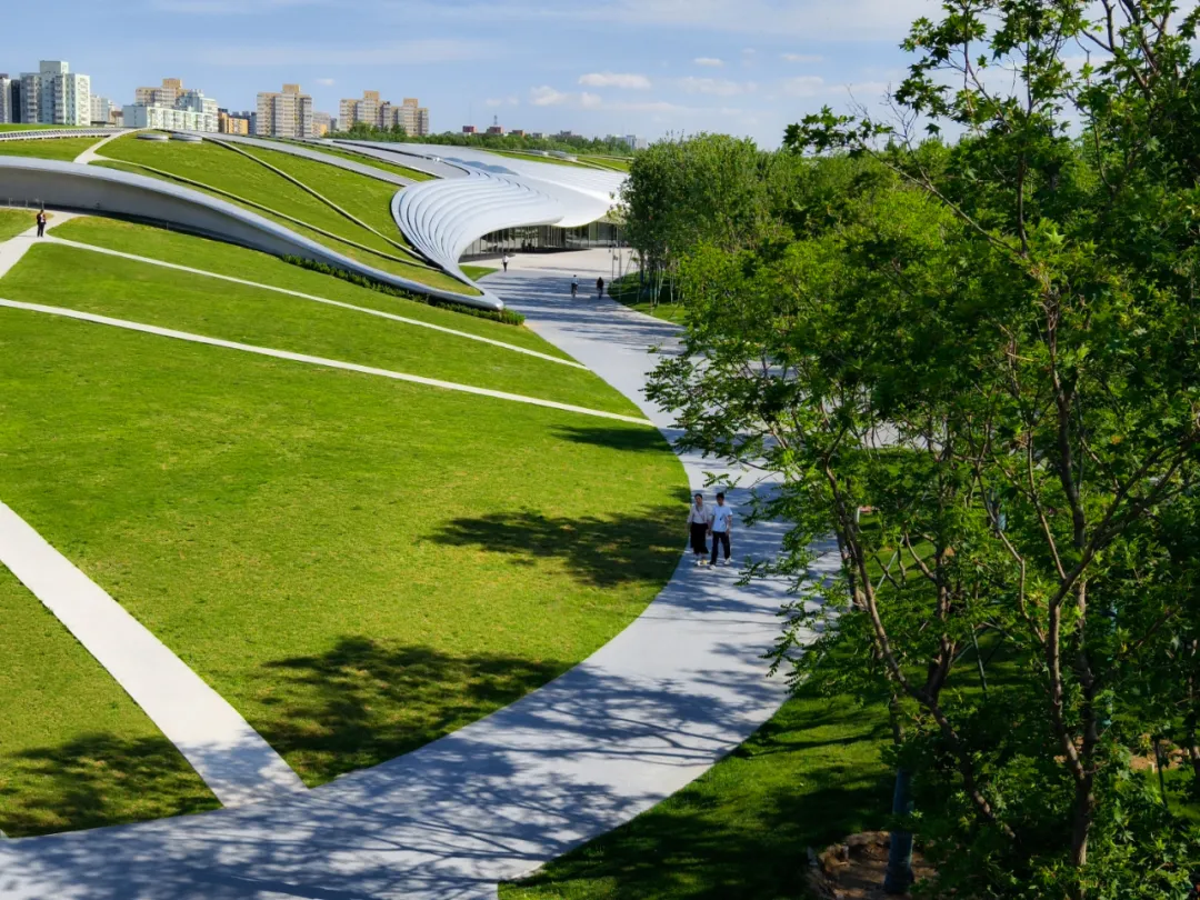 1734419750198035.jpg 1734419673820.jpg