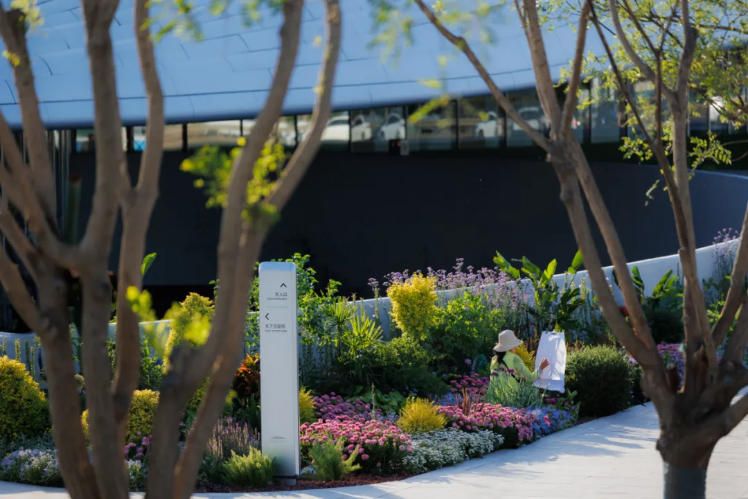 1734419876165154.jpg 1734419795085.jpg