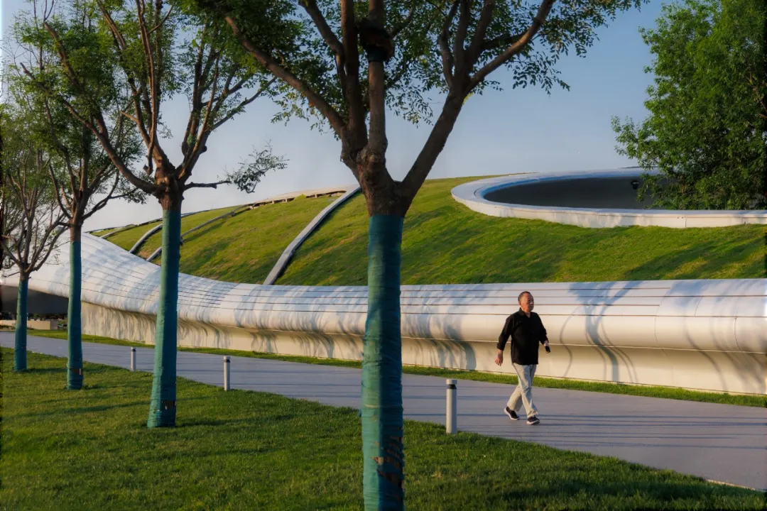 1734419925528163.jpg 1734419920889.jpg