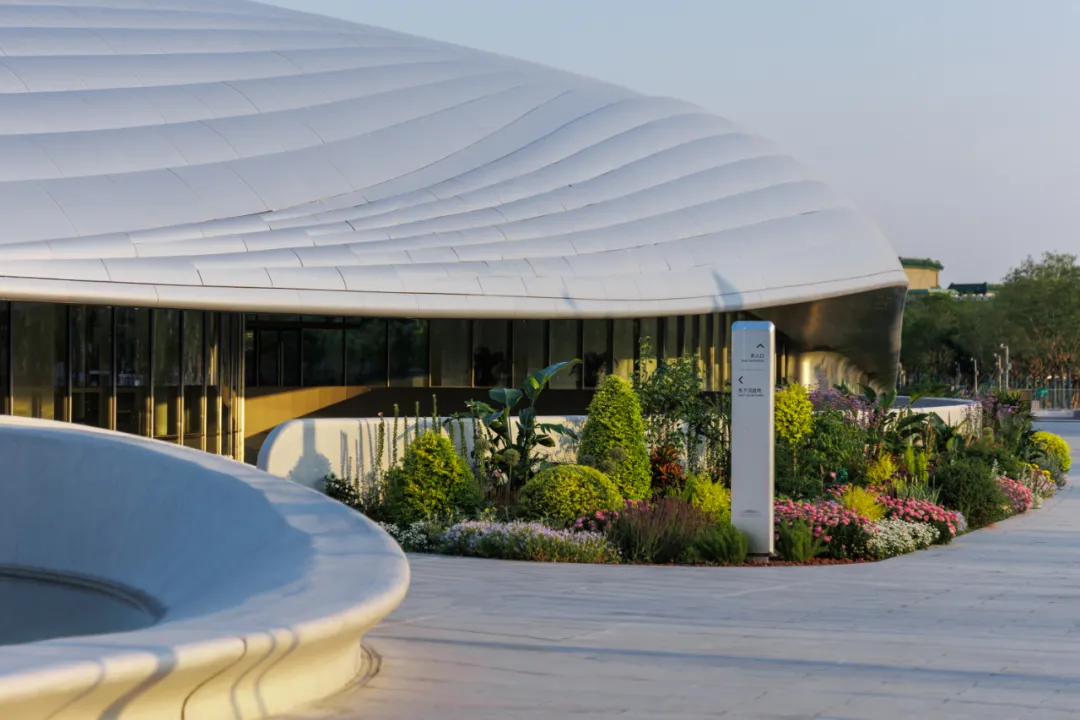 1734419933992046.jpg 1734419797589.jpg