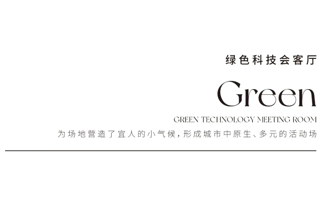 1734420221786511.jpg 1734420165930.jpg