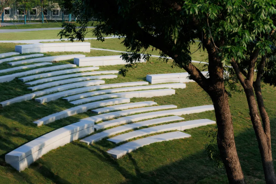 1734420546179435.jpg 1734420494437.jpg