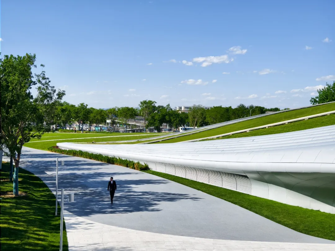 1734420628159867.jpg 1734420585165.jpg