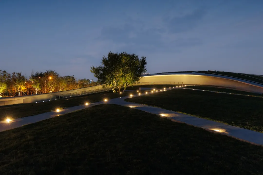 1734420649190434.jpg 1734420600506.jpg