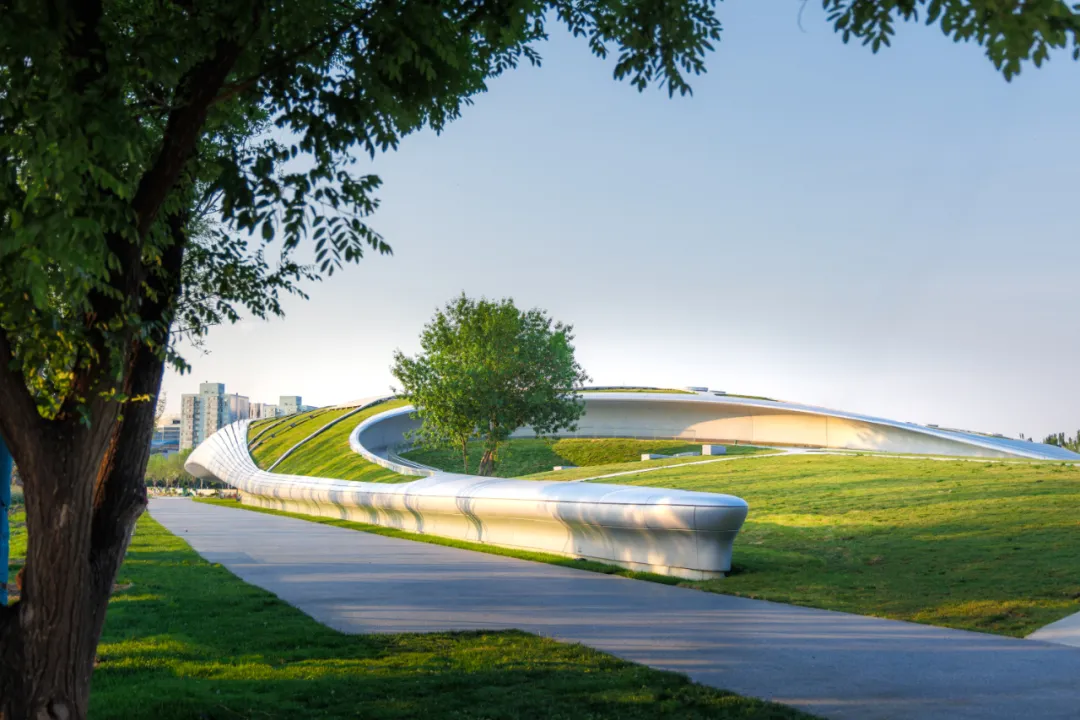 1734420713191230.jpg 1734420677418.jpg