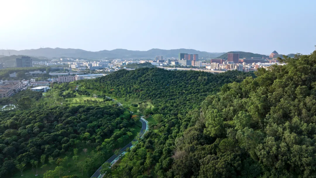 1734427403213229.jpg 1734427388243.jpg