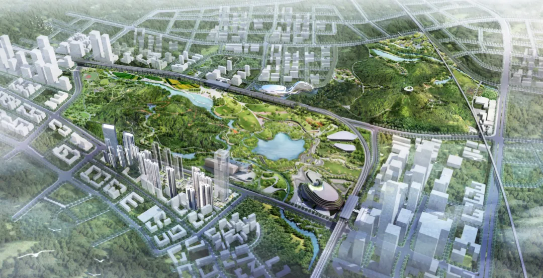 1734427422842420.jpg 1734427144654.jpg