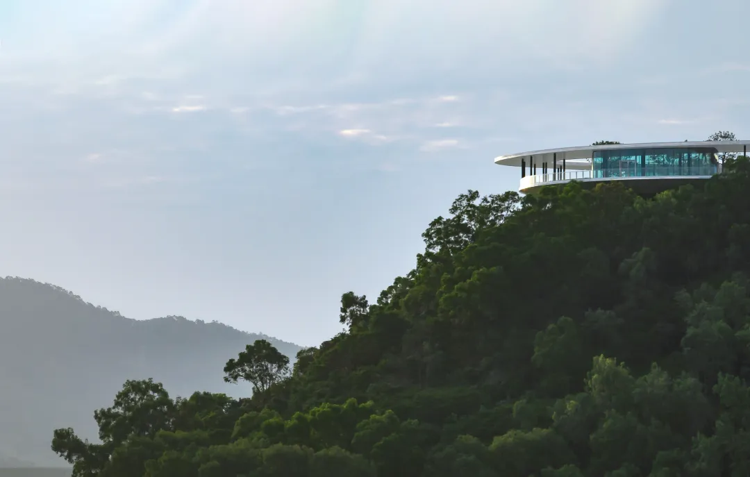 1734427518206449.jpg 1734427457235.jpg