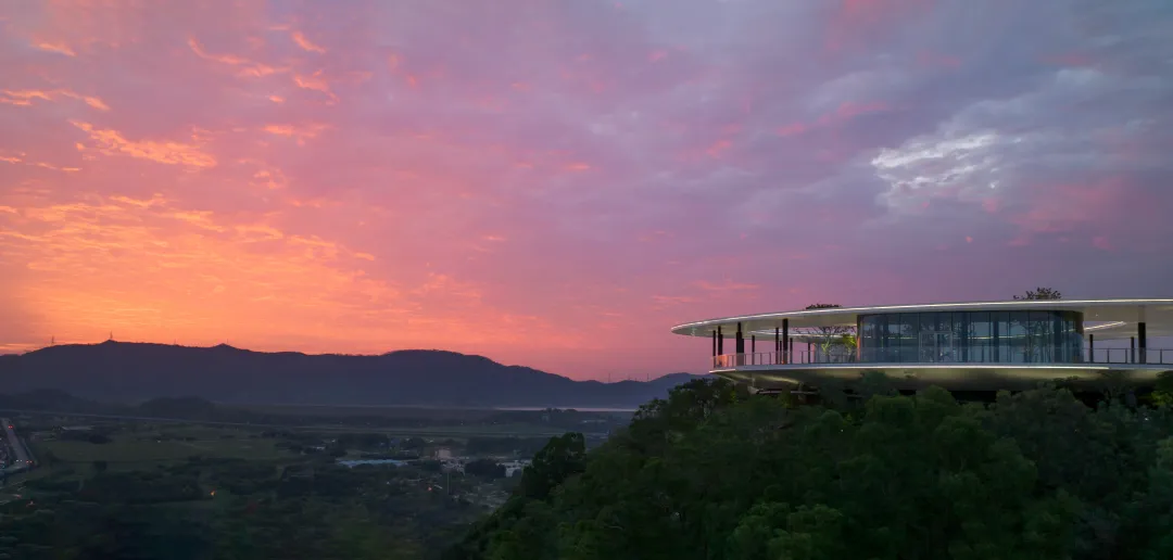 1734427526189964.jpg 1734427484300.jpg