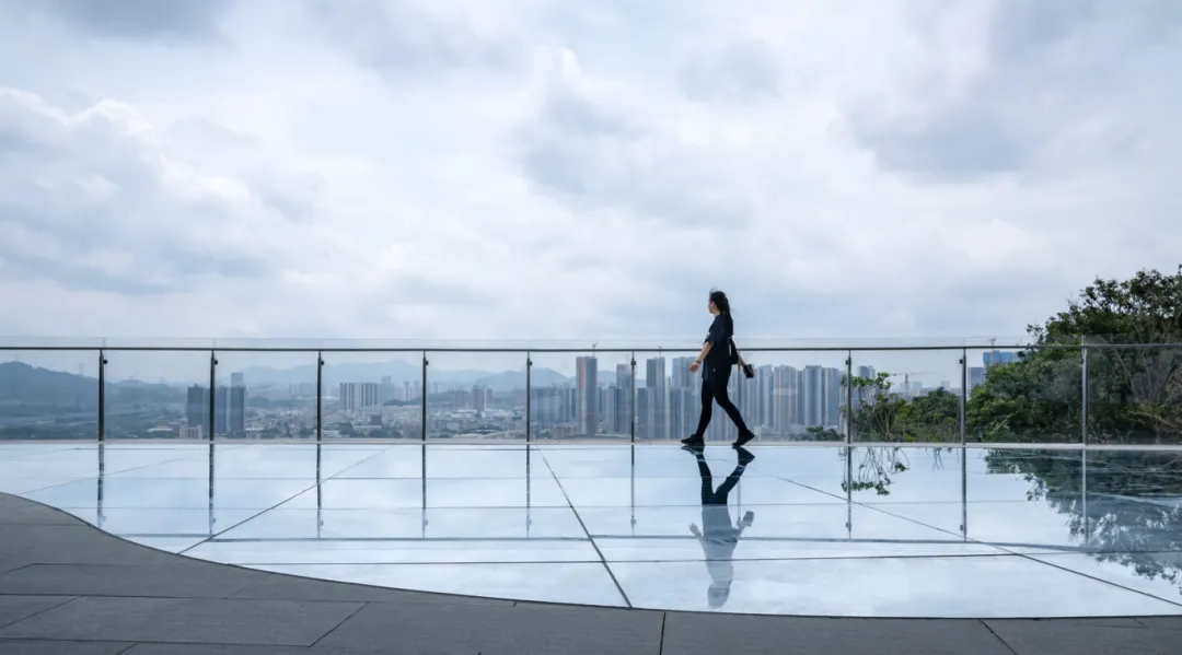 1734427544201285.jpg 1734427496187.jpg