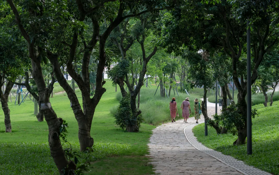 1734427639141513.jpg 1734427591638.jpg