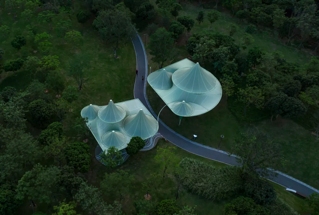 1734427715466252.jpg 1734427675675.jpg