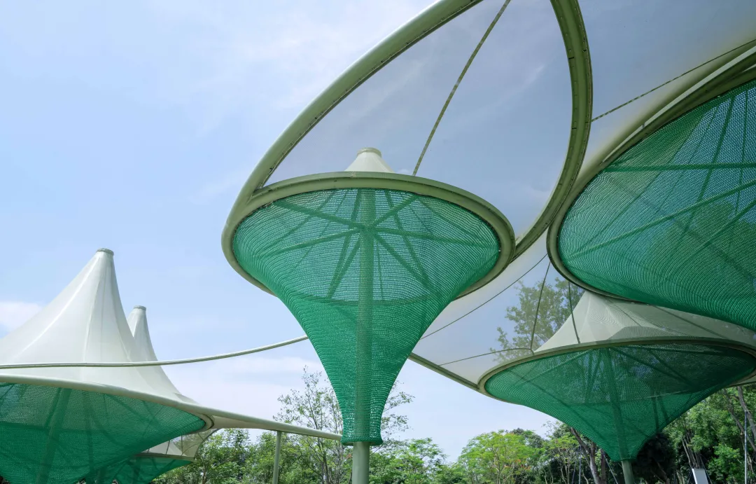 1734427725166047.jpg 1734427680389.jpg