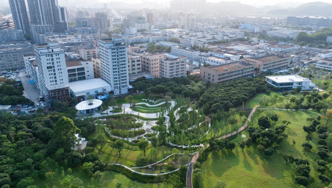 1734427804143350.jpg 1734427763630.jpg