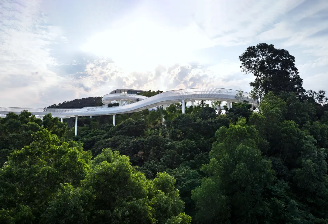 1734427812883487.jpg 1734427771987.jpg