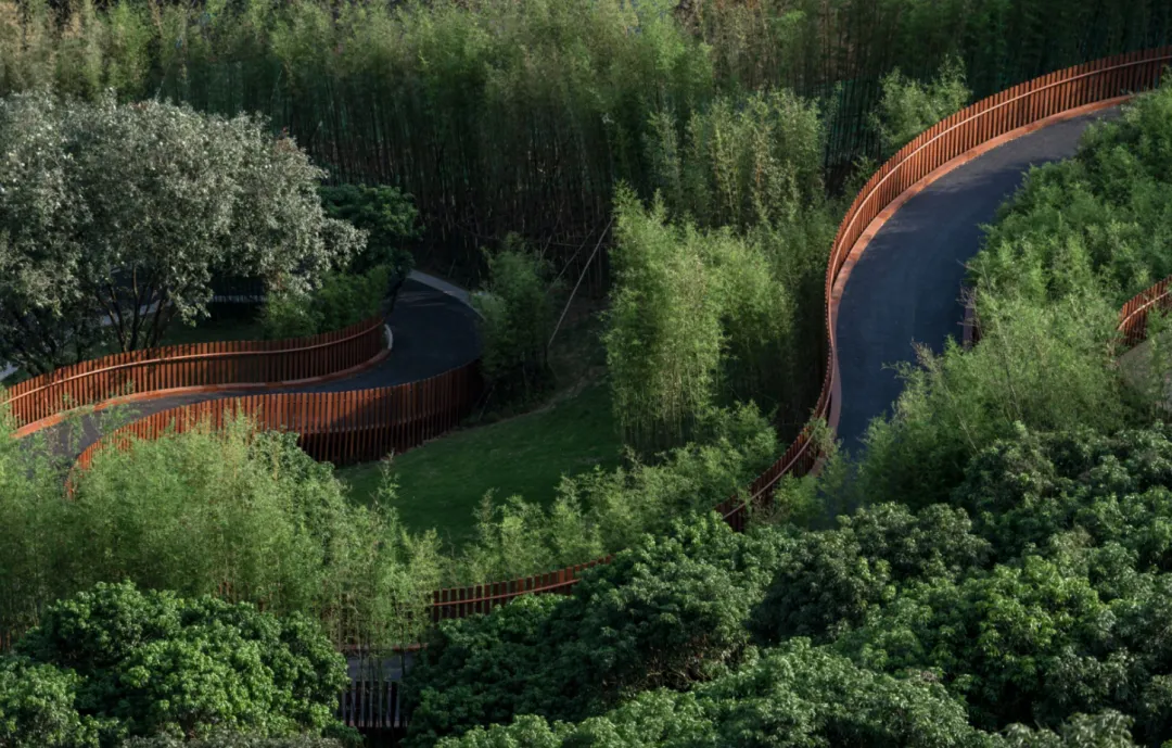 1734427816605979.jpg 1734427775916.jpg