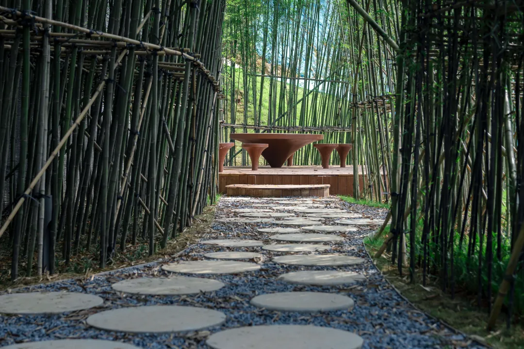 1734427821100528.jpg 1734427778235.jpg