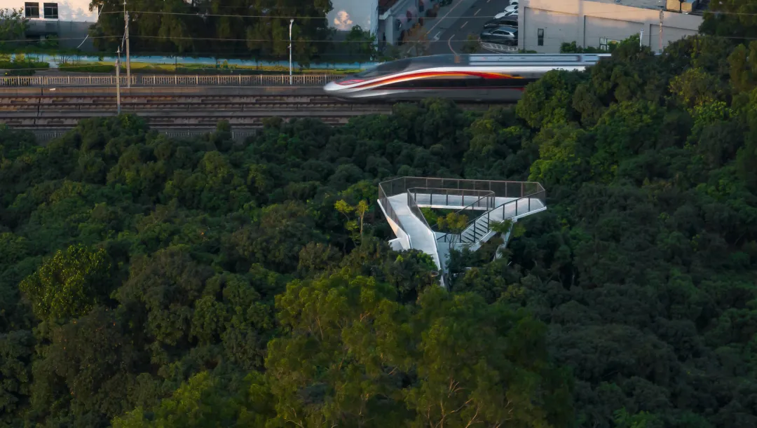 1734427833627781.jpg 1734427788071.jpg