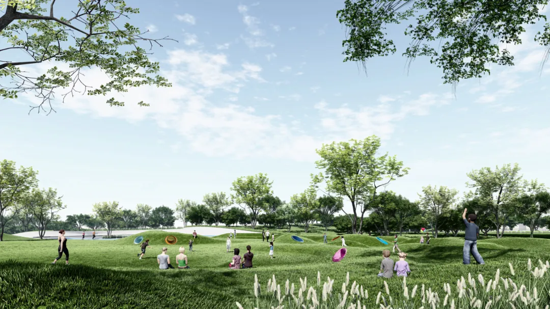 1734427874381490.jpg 1734427848378.jpg