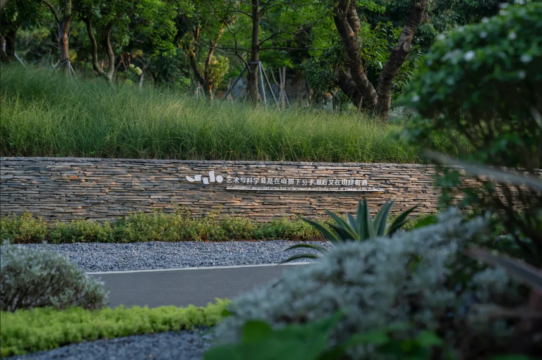 1734427892101076.jpg 1734427865709.jpg