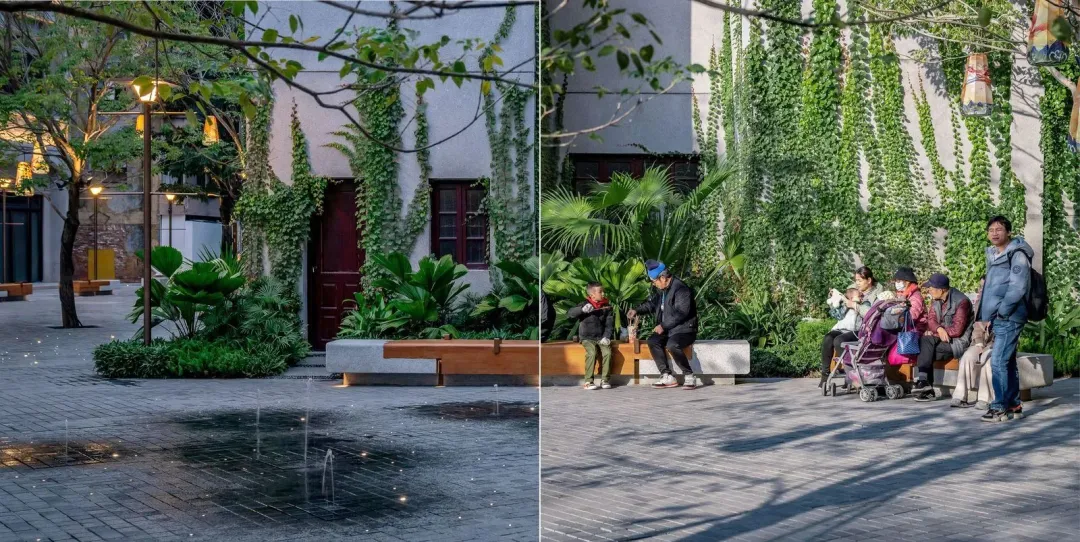 1734429908207413.jpg 1734429859694.jpg