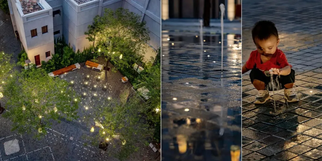 1734429993740059.jpg 1734429940404.jpg