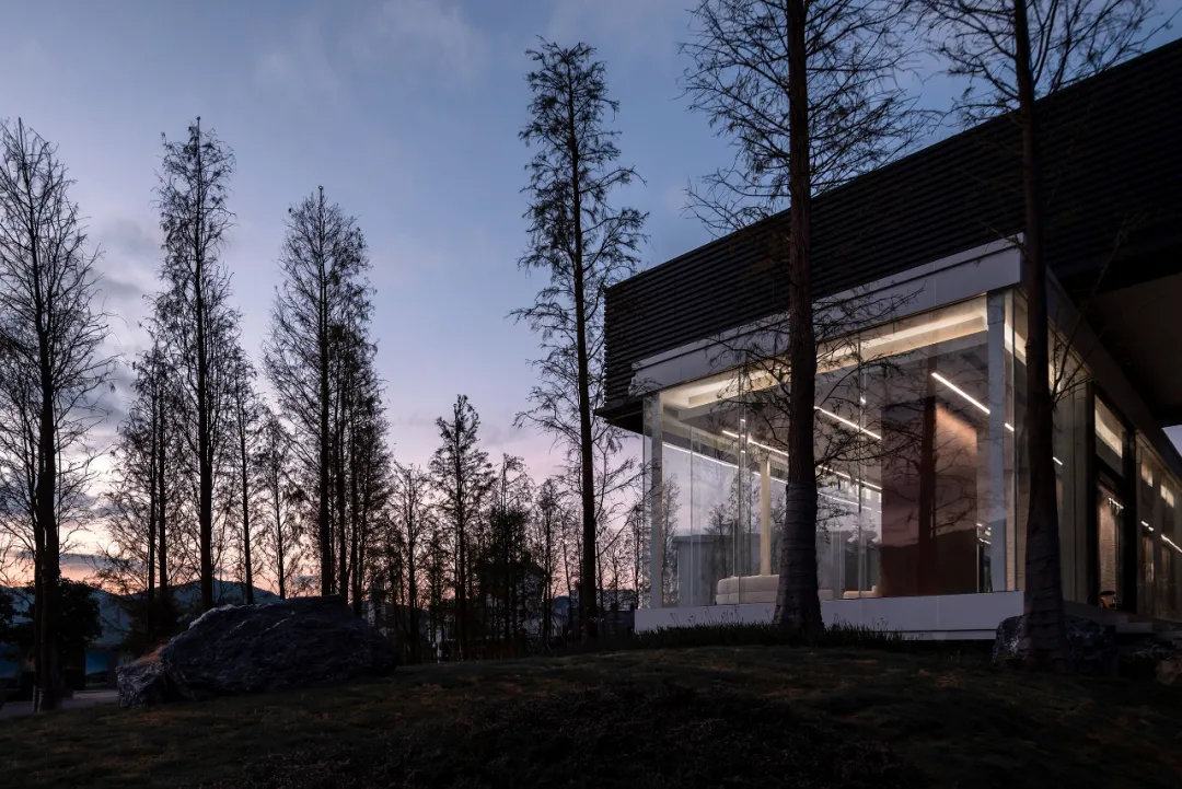 1734484653144814.jpg 1734484516301.jpg