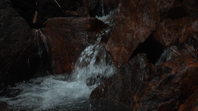 1734484700128730.jpg 1734484563529.jpg