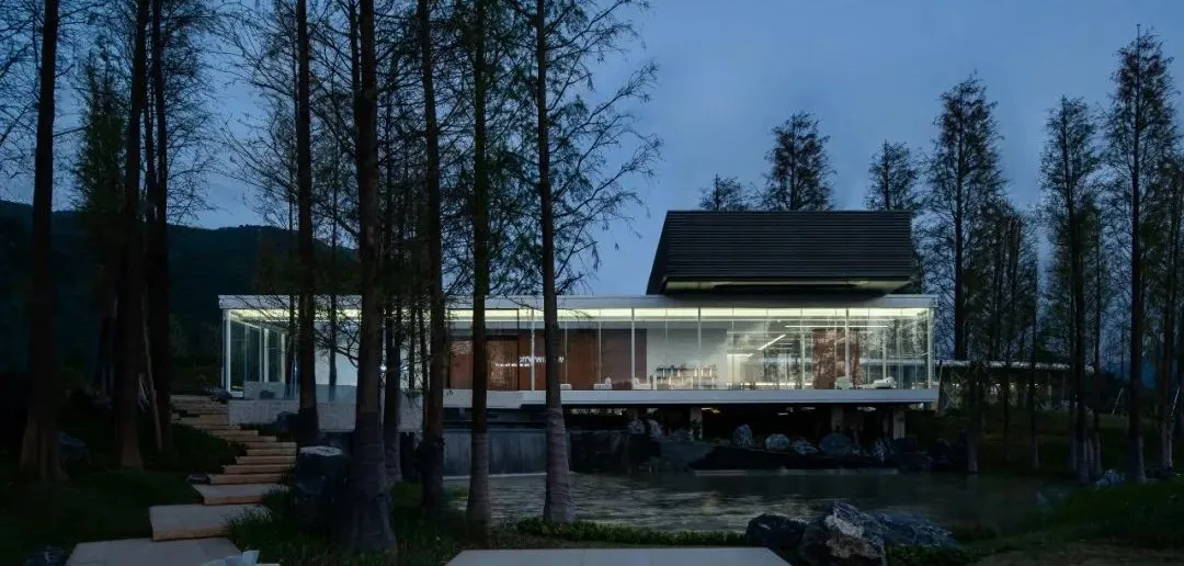 1734484704156881.jpg 1734484569839.jpg