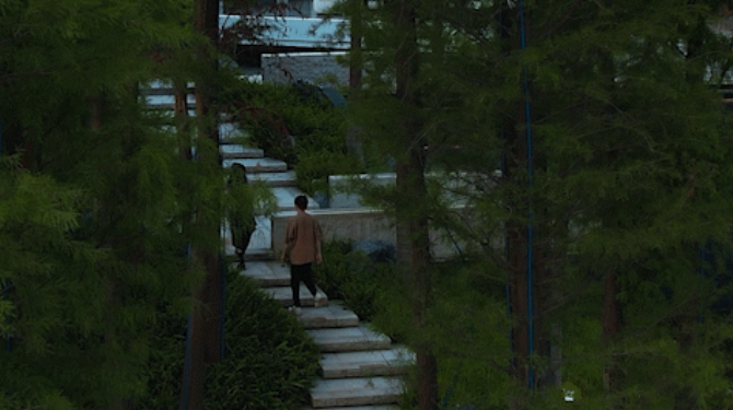 1734484964671053.jpg 1734484899045.jpg