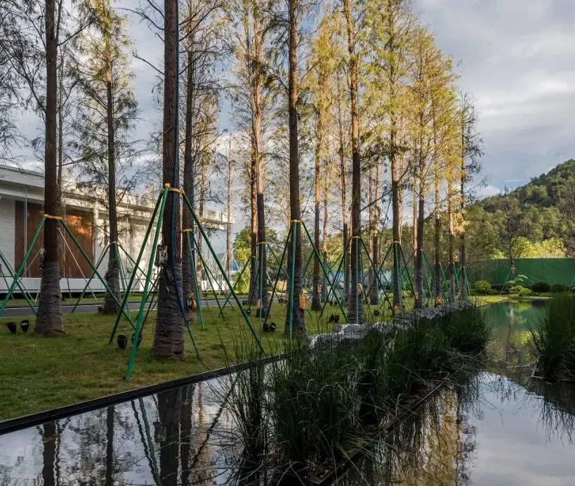 1734484976160176.jpg 1734484906906.jpg