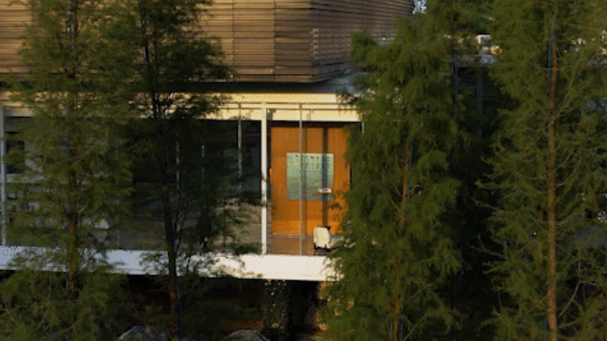 1734485008116377.jpg 1734484929252.jpg