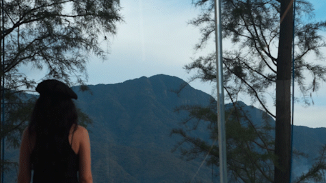 1734485142190659.jpg 1734485085747.jpg