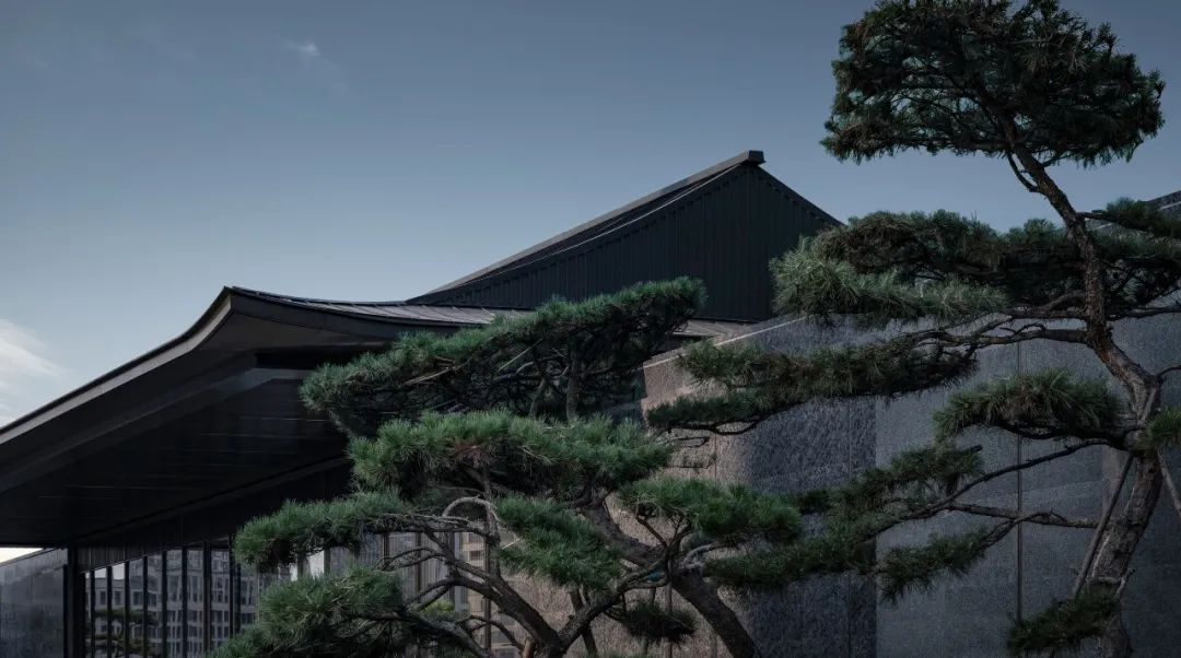 1734514583192187.jpg 1734514491972.jpg