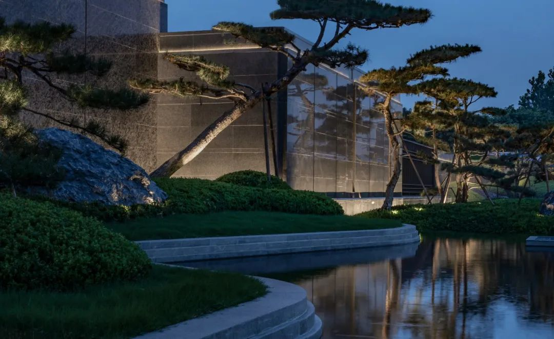 1734514710359058.jpg 1734514628042.jpg