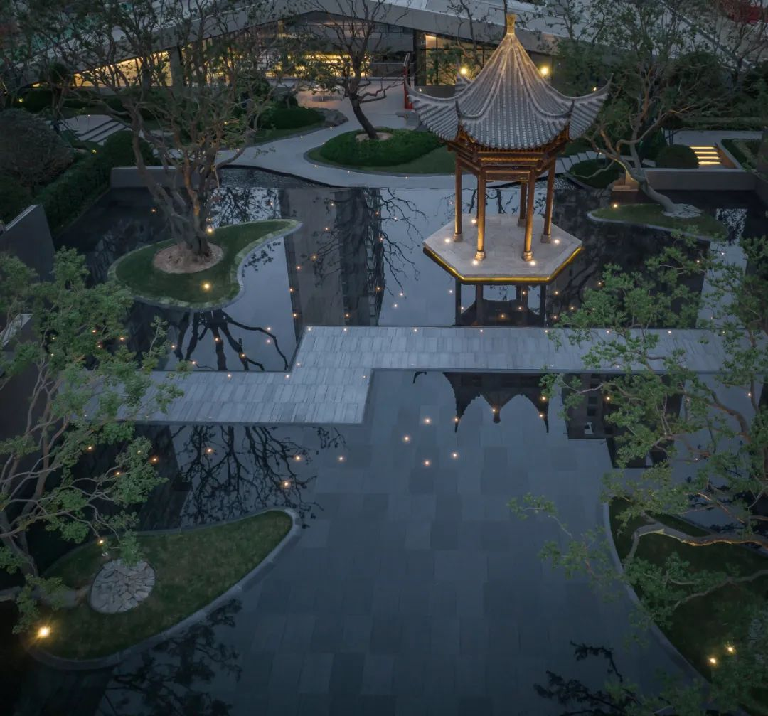 1734514724259293.jpg 1734514650828.jpg