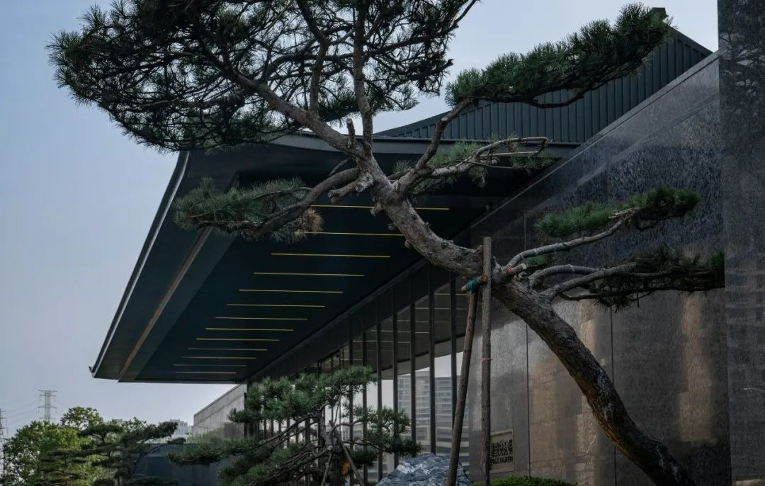 1734514766141450.jpg 1734514755551.jpg