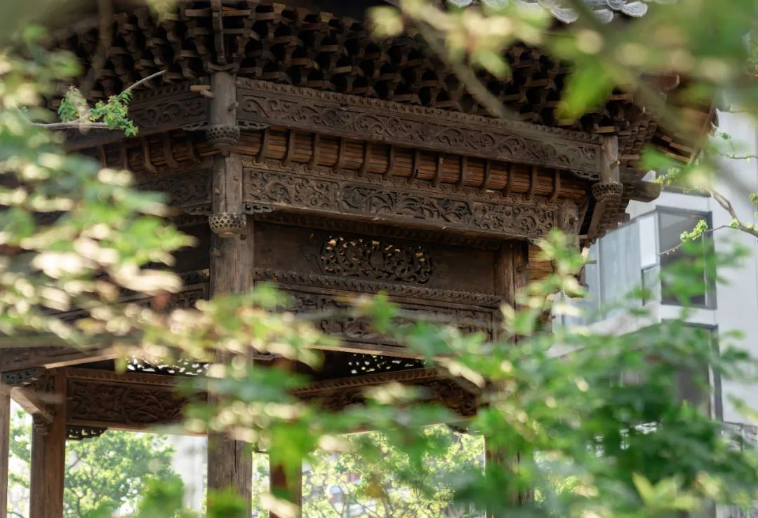 1734514935541312.jpg 1734514868943.jpg