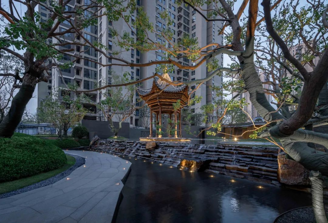 1734514985182841.jpg 1734514935060.jpg