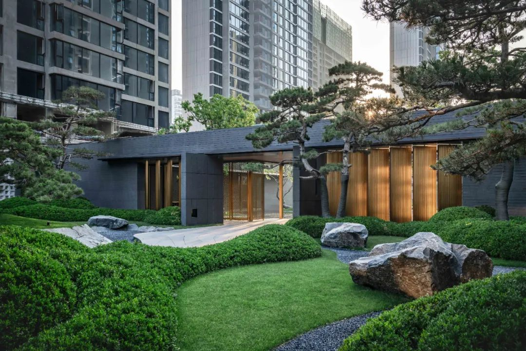 1734515018475018.jpg 1734514960022.jpg