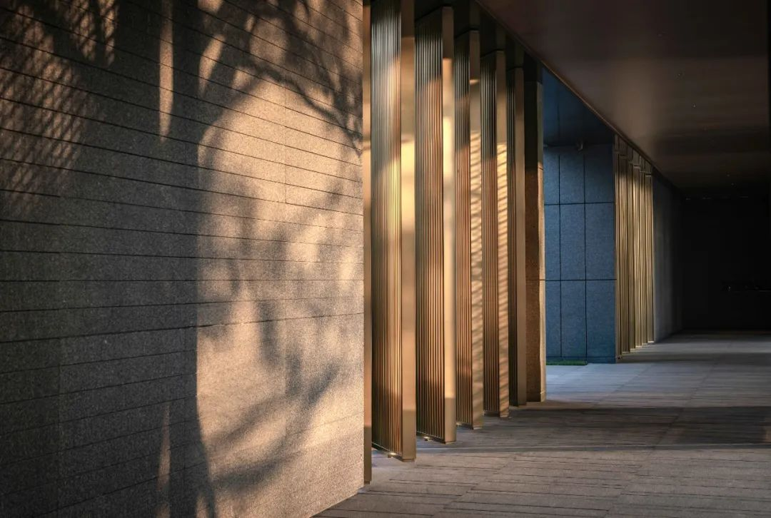 1734515081144017.jpg 1734515041748.jpg