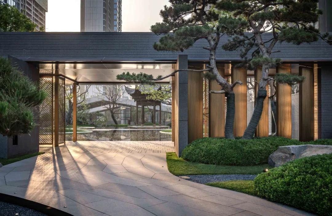 1734515081238928.jpg 1734515036727.jpg