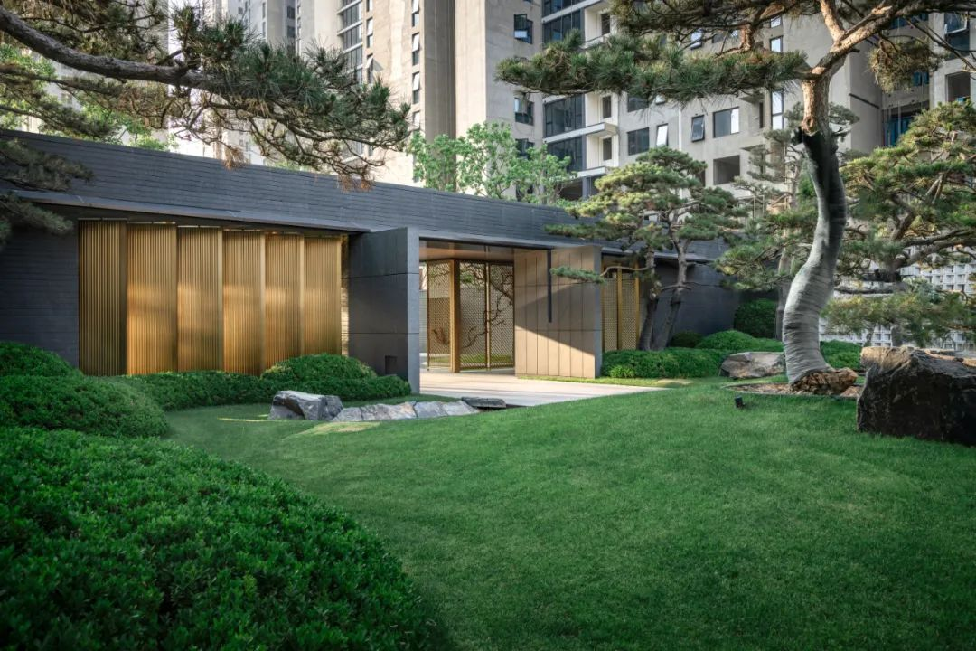 1734515116190406.jpg 1734515065697.jpg