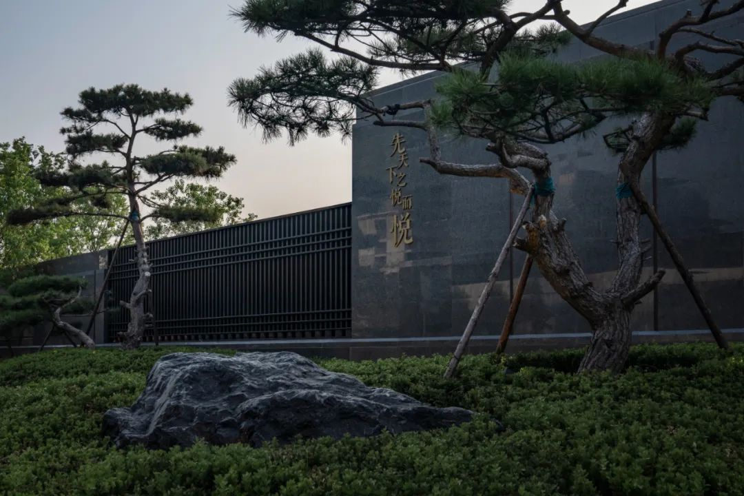 1734515187463707.jpg 1734515134640.jpg