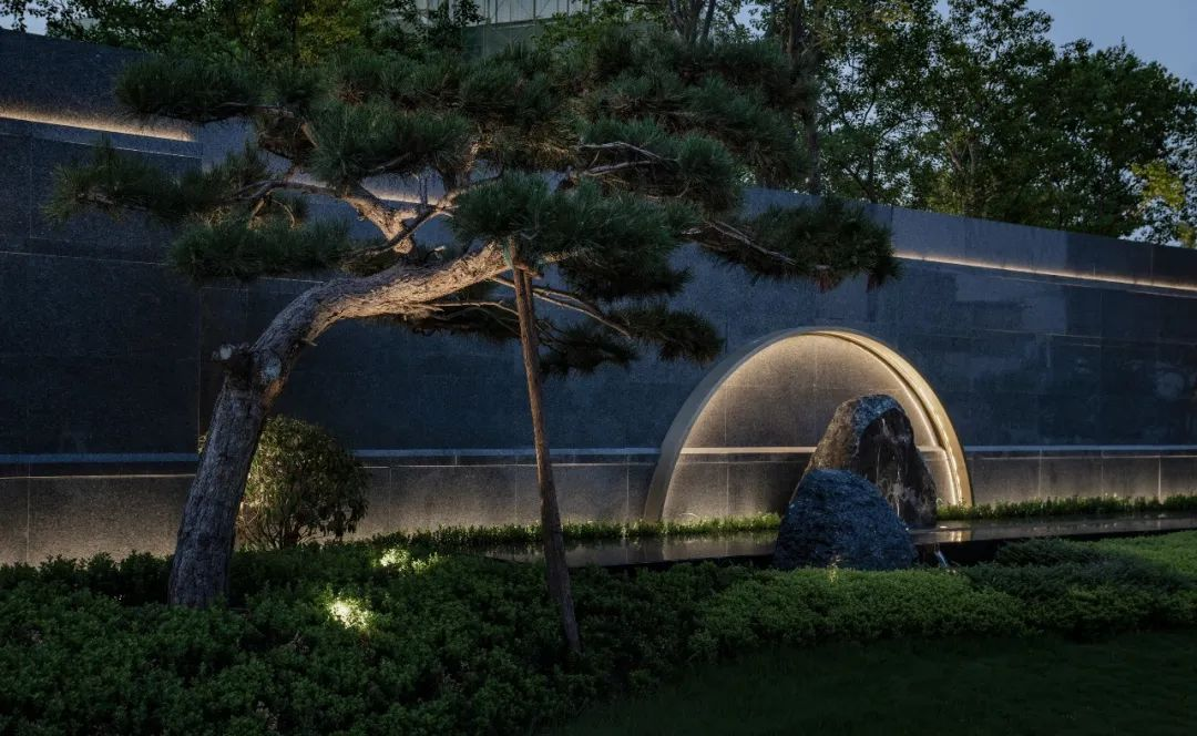 1734515190134914.jpg 1734515152053.jpg