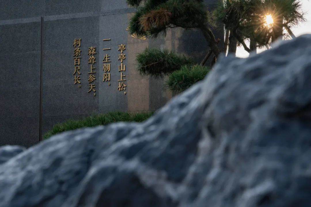 1734515196127094.jpg 1734515153683.jpg