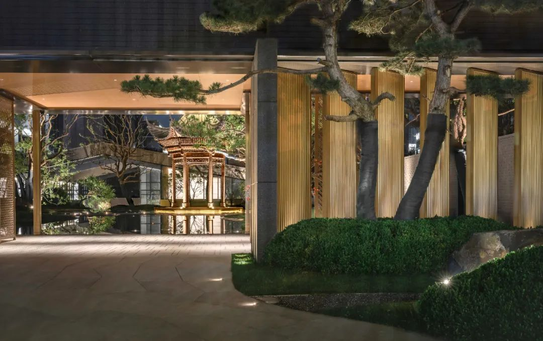 1734516578154082.jpg 1734515255672.jpg