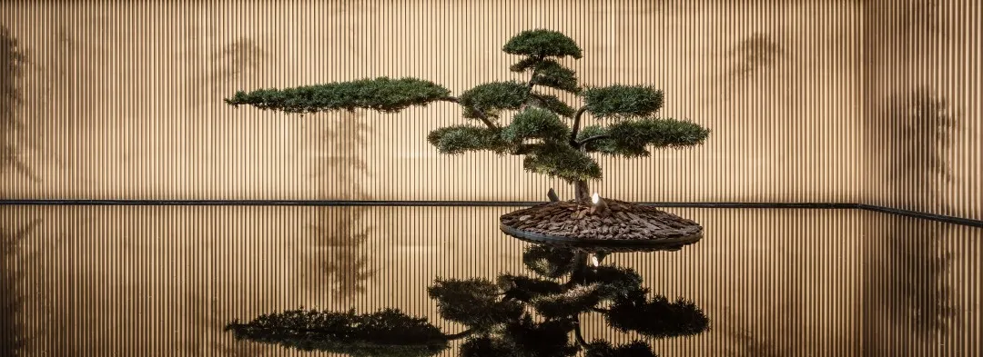 1734597034200737.jpg 1734596982624.jpg