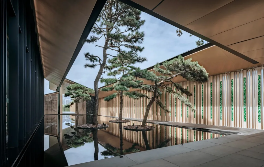 1734597439196197.png fd74296f17d4b2942e0447b64407689.png