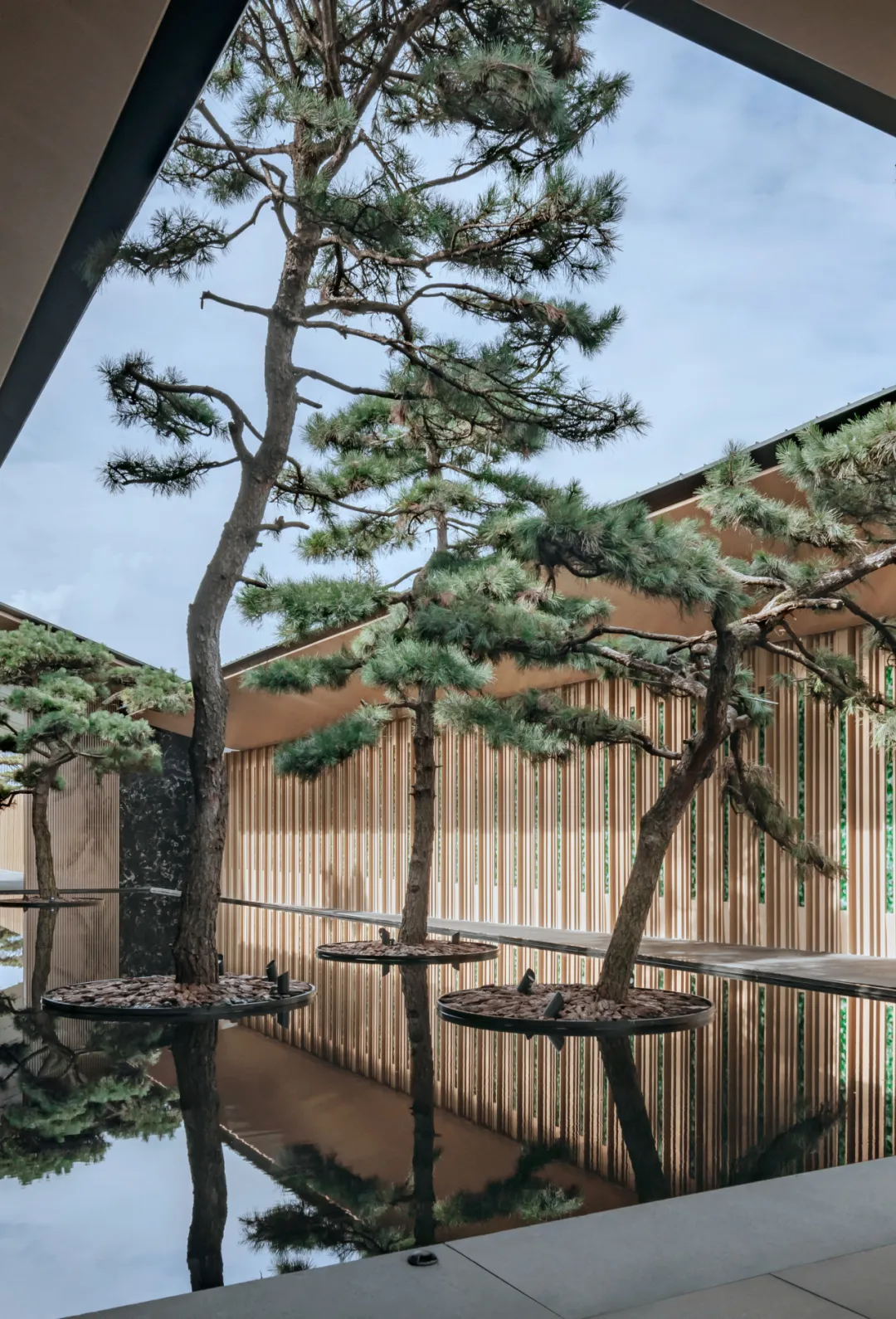 1734597449151947.png ec865cbf1ff2294aa4dba685f7a056b.png